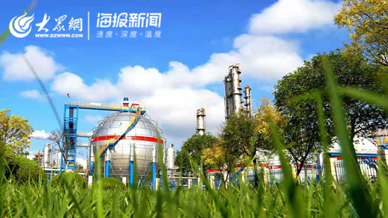 可持续发展战略：推动企业未来的绿色革命